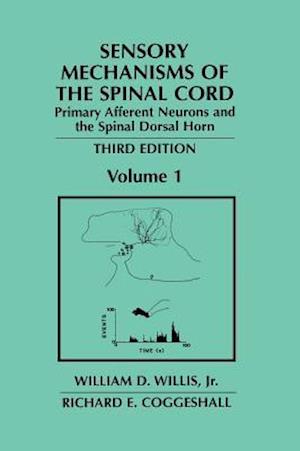 Sensory Mechanisms of the Spinal Cord