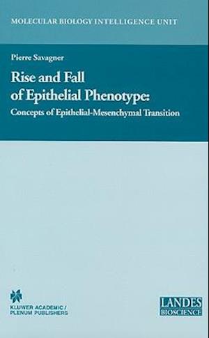 Rise and Fall of Epithelial Phenotype