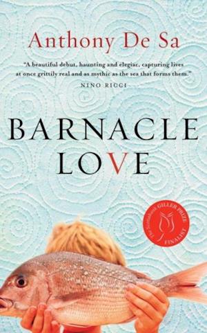 Barnacle Love