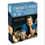 Cesar's Way Deck
