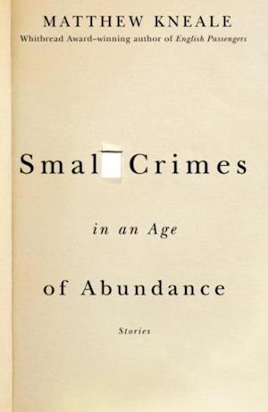 Small Crimes in an Age of Abundance