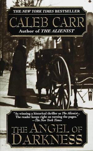 Angel of Darkness: Book 2 of the Alienist