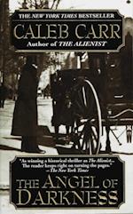 Angel of Darkness: Book 2 of the Alienist