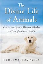 Divine Life of Animals