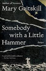 Somebody with a Little Hammer