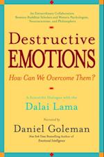 Destructive Emotions