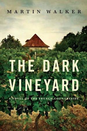 Dark Vineyard