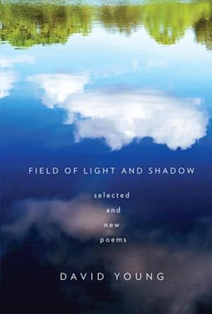 Field of Light and Shadow