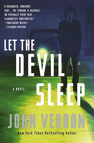 Let the Devil Sleep (Dave Gurney, No. 3)