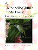 Hummingbird in My House