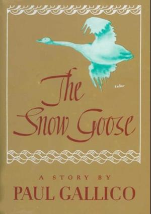 Snow Goose