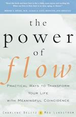 Power of Flow