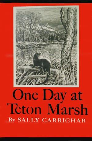 One Day At Teton Marsh