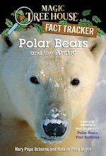 Polar Bears and the Arctic