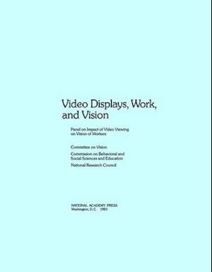 Video Displays, Work, and Vision