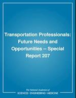 Transportation Professionals