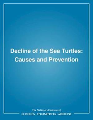 Decline of the Sea Turtles