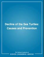 Decline of the Sea Turtles