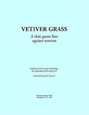 Vetiver Grass