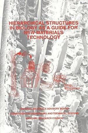 Hierarchical Structures in Biology as a Guide for New Materials Technology