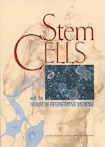 Stem Cells and the Future of Regenerative Medicine