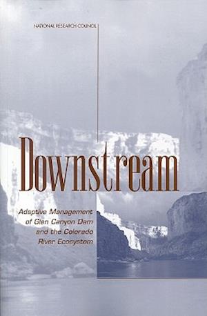 Downstream