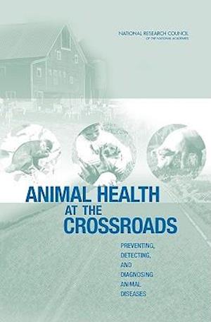 Animal Health at the Crossroads