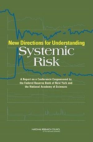 New Directions for Understanding Systemic Risk