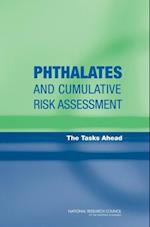 Phthalates and Cumulative Risk Assessment