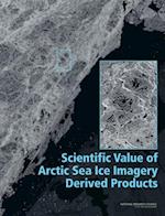 Scientific Value of Arctic Sea Ice Imagery Derived Products