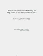 Technical Capabilities Necessary for Regulation of Systemic Financial Risk