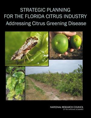 Strategic Planning for the Florida Citrus Industry