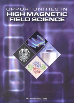 Opportunities in High Magnetic Field Science