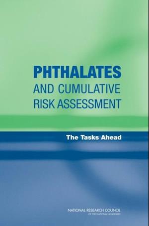 Phthalates and Cumulative Risk Assessment