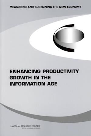 Enhancing Productivity Growth in the Information Age