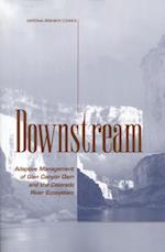 Downstream