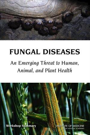 Fungal Diseases