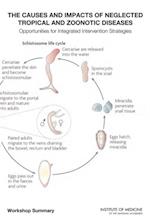 Causes and Impacts of Neglected Tropical and Zoonotic Diseases