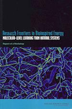 Research Frontiers in Bioinspired Energy