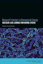 Research Frontiers in Bioinspired Energy