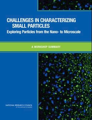 Challenges in Characterizing Small Particles