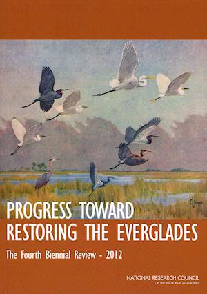 Progress Toward Restoring the Everglades