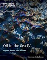 Oil in the Sea IV