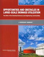 Opportunities and Obstacles in Large-Scale Biomass Utilization