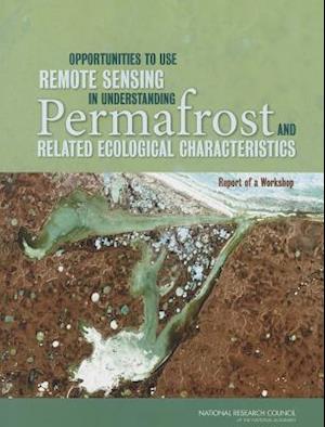 Opportunities to Use Remote Sensing in Understanding Permafrost and Related Ecological Characteristics