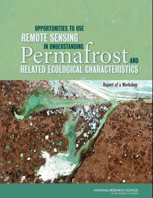 Opportunities to Use Remote Sensing in Understanding Permafrost and Related Ecological Characteristics