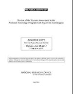 Review of the Styrene Assessment in the National Toxicology Program 12th Report on Carcinogens