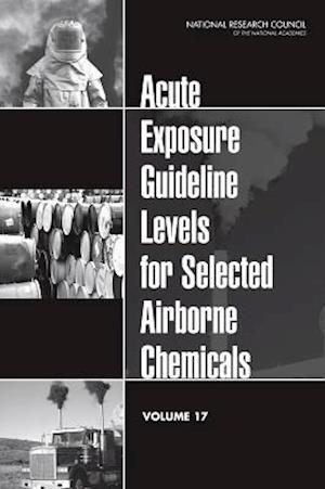 Acute Exposure Guideline Levels for Selected Airborne Chemicals, Volume 17