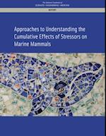 Approaches to Understanding the Cumulative Effects of Stressors on Marine Mammals