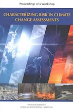 Characterizing Risk in Climate Change Assessments